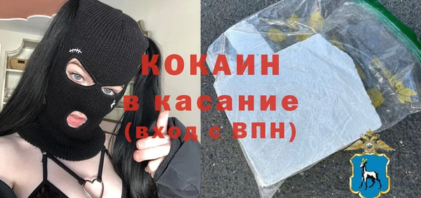 гашик Арсеньев