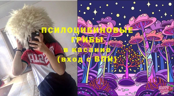 гашик Арсеньев