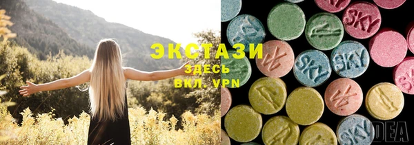 гашик Арсеньев