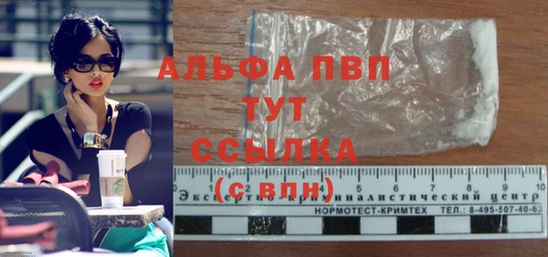 гашик Арсеньев
