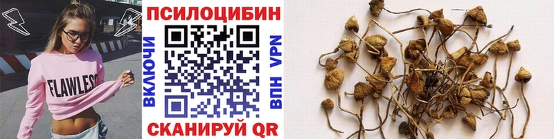 Псилоцибиновые грибы прущие грибы  Лобня 